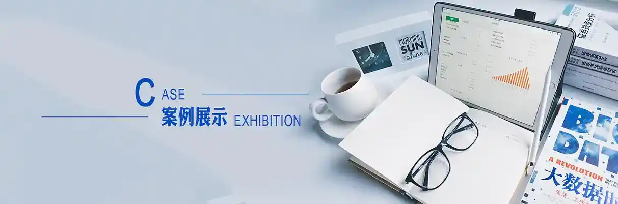 台江县软件开发